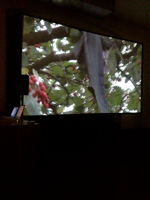 "Le djeuner sur l’arbre", 2012, Videoinstallation, Soundperformance