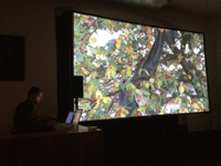 "Le djeuner sur l’arbre", 2012, Videoinstallation, Soundperformance