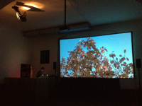 "Le djeuner sur l’arbre", 2012, Videoinstallation, Soundperformance