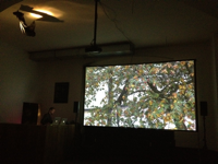 "Le déjeuner sur l’arbre", 2012, Videoinstallation, Soundperformance