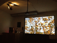 "Le djeuner sur l’arbre", 2012, Videoinstallation, Soundperformance