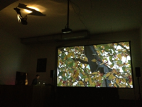 "Le djeuner sur l’arbre", 2012, Videoinstallation, Soundperformance